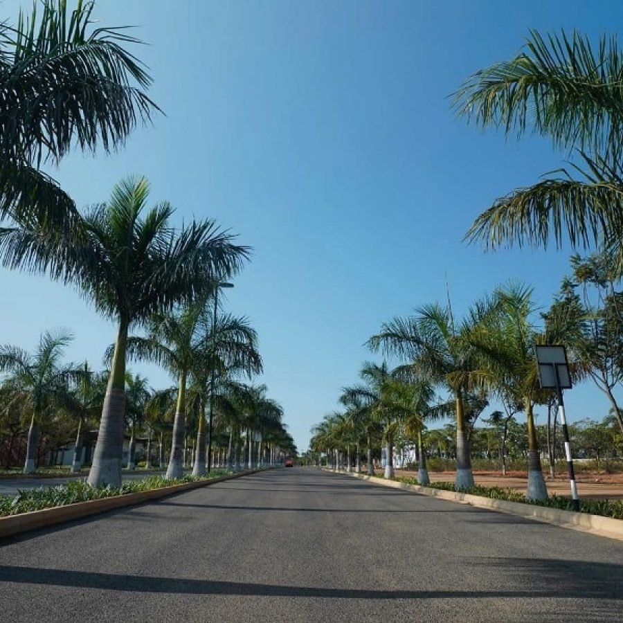 4 Vehicular corridors with 18 Kms road length at Embassy Springs