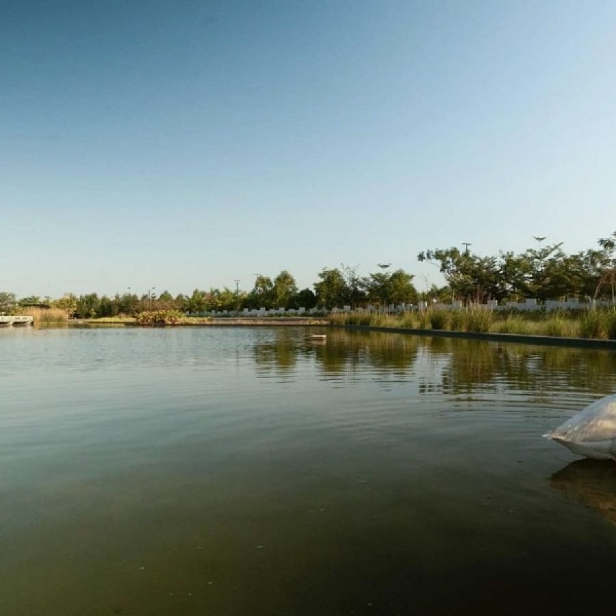 5.5 Acres Man made Lake at Embassy Springs